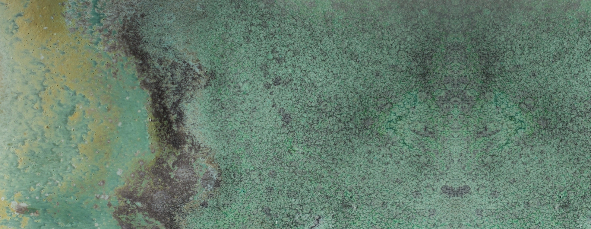 DIY Pottery Tools: Damp Boxes Workshop